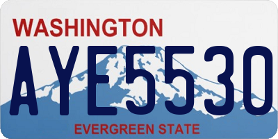 WA license plate AYE5530