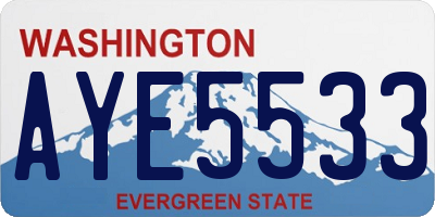 WA license plate AYE5533