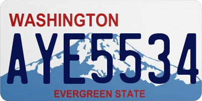 WA license plate AYE5534