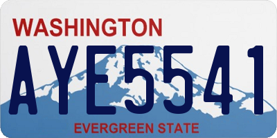 WA license plate AYE5541