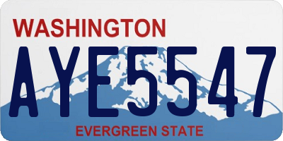 WA license plate AYE5547