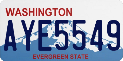WA license plate AYE5549