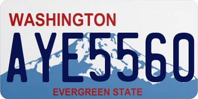 WA license plate AYE5560