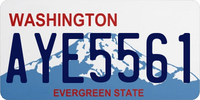 WA license plate AYE5561