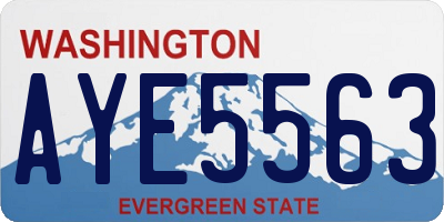 WA license plate AYE5563