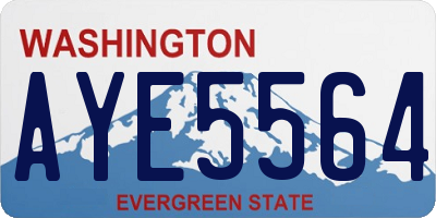 WA license plate AYE5564