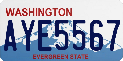 WA license plate AYE5567