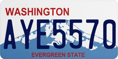 WA license plate AYE5570