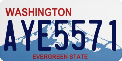 WA license plate AYE5571