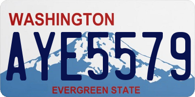 WA license plate AYE5579