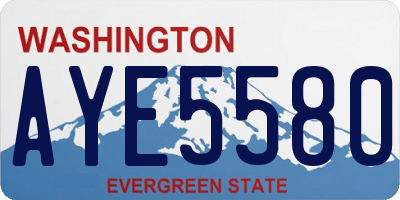 WA license plate AYE5580