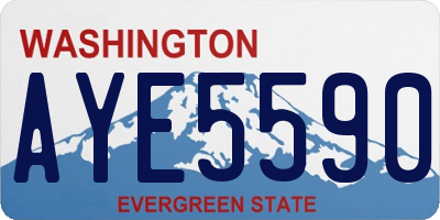 WA license plate AYE5590