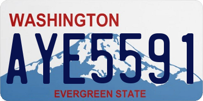 WA license plate AYE5591