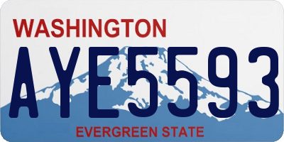 WA license plate AYE5593