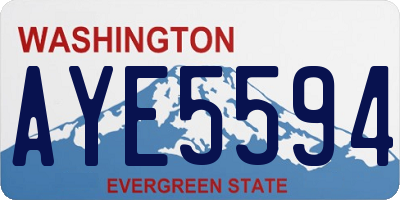 WA license plate AYE5594