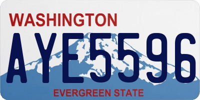 WA license plate AYE5596