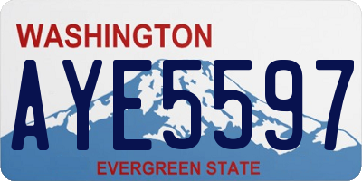 WA license plate AYE5597