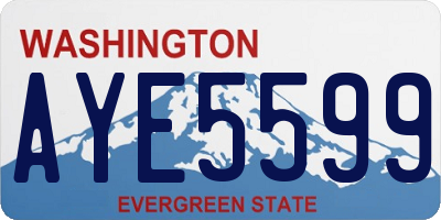 WA license plate AYE5599