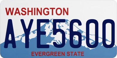 WA license plate AYE5600