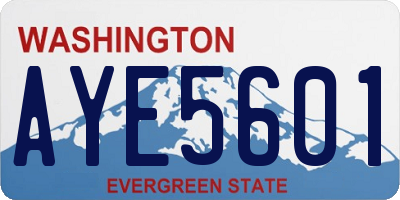 WA license plate AYE5601