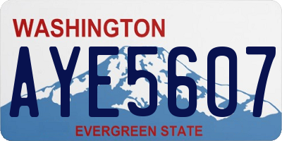 WA license plate AYE5607