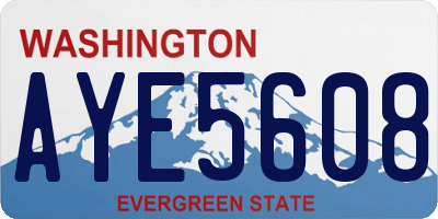 WA license plate AYE5608