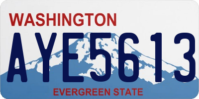 WA license plate AYE5613