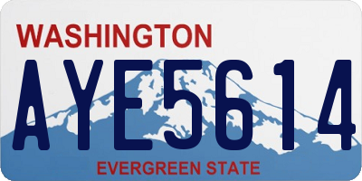 WA license plate AYE5614