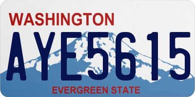 WA license plate AYE5615