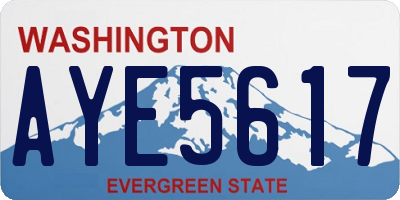 WA license plate AYE5617