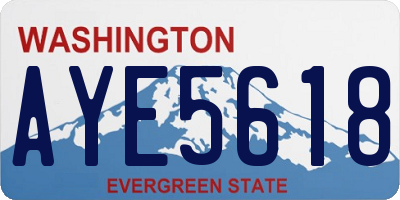 WA license plate AYE5618
