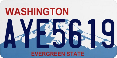 WA license plate AYE5619