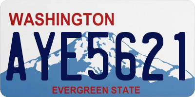 WA license plate AYE5621