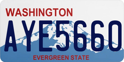 WA license plate AYE5660