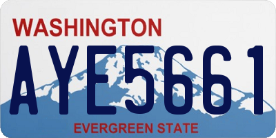 WA license plate AYE5661