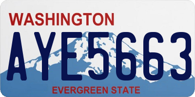 WA license plate AYE5663