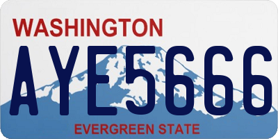 WA license plate AYE5666