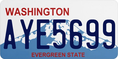 WA license plate AYE5699