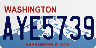 WA license plate AYE5739