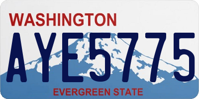WA license plate AYE5775