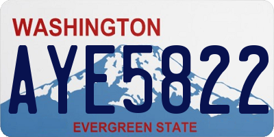 WA license plate AYE5822