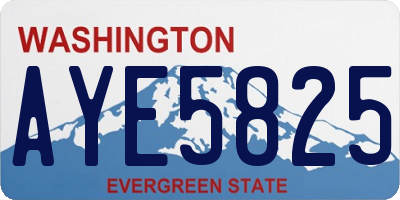 WA license plate AYE5825