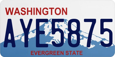 WA license plate AYE5875