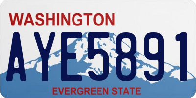 WA license plate AYE5891