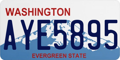 WA license plate AYE5895