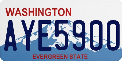 WA license plate AYE5900