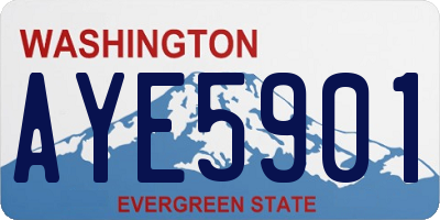 WA license plate AYE5901