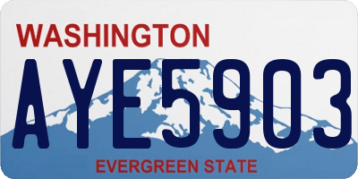 WA license plate AYE5903