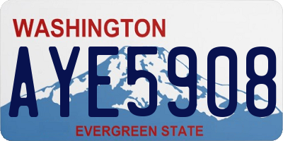 WA license plate AYE5908