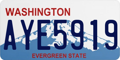 WA license plate AYE5919